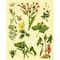 8" x 10" Vintage Flowers Paint-by-Number Kit with Wood Display Hanger by Artist's Loft®